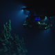 Undersea. AP